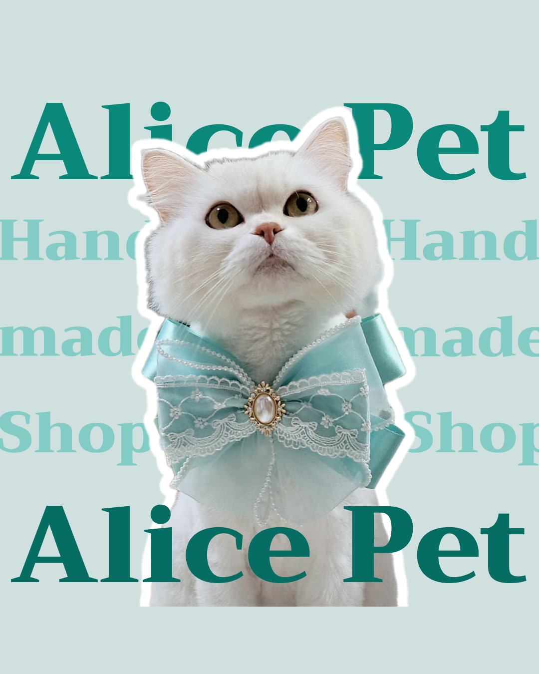 브랜드 라인업업 이미지